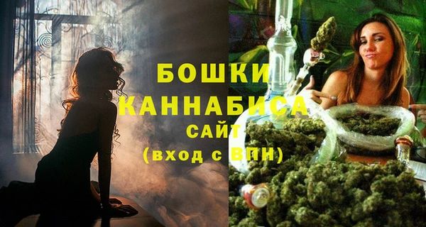дурь Нея