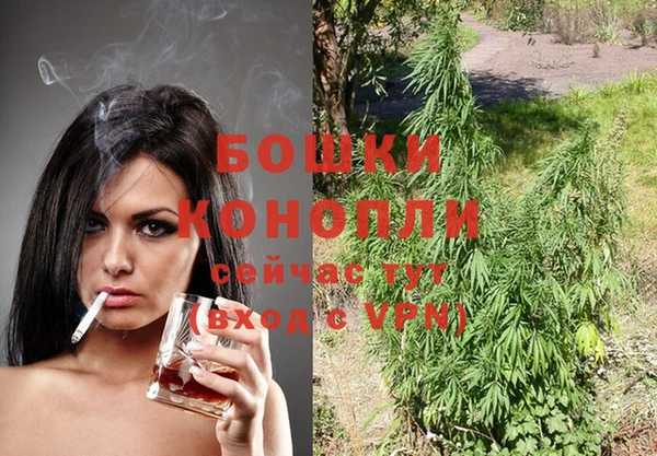 ПСИЛОЦИБИНОВЫЕ ГРИБЫ Надым
