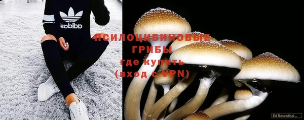 шишки Артём