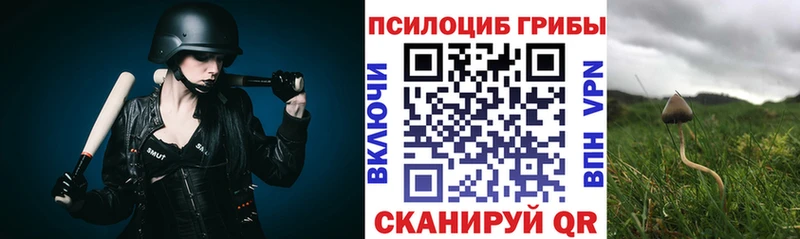 Псилоцибиновые грибы GOLDEN TEACHER  где продают наркотики  Таганрог 