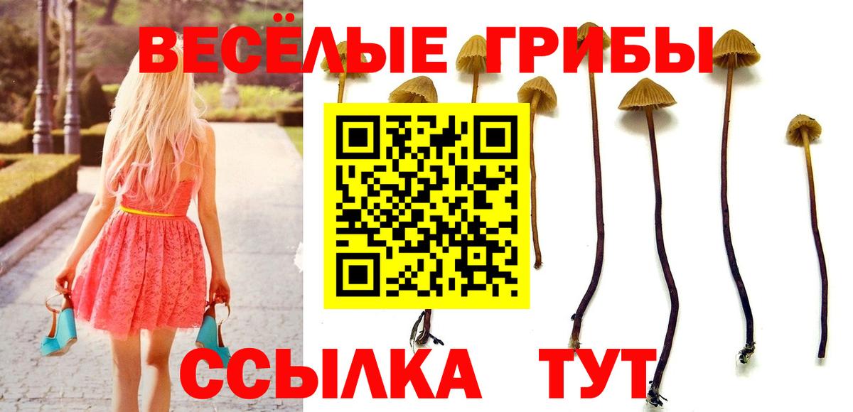 Таганрог  Экстази  МЕФ   Наркошоп  Кодеин  ГАШ  COCAIN  Канабис  МЕТ 